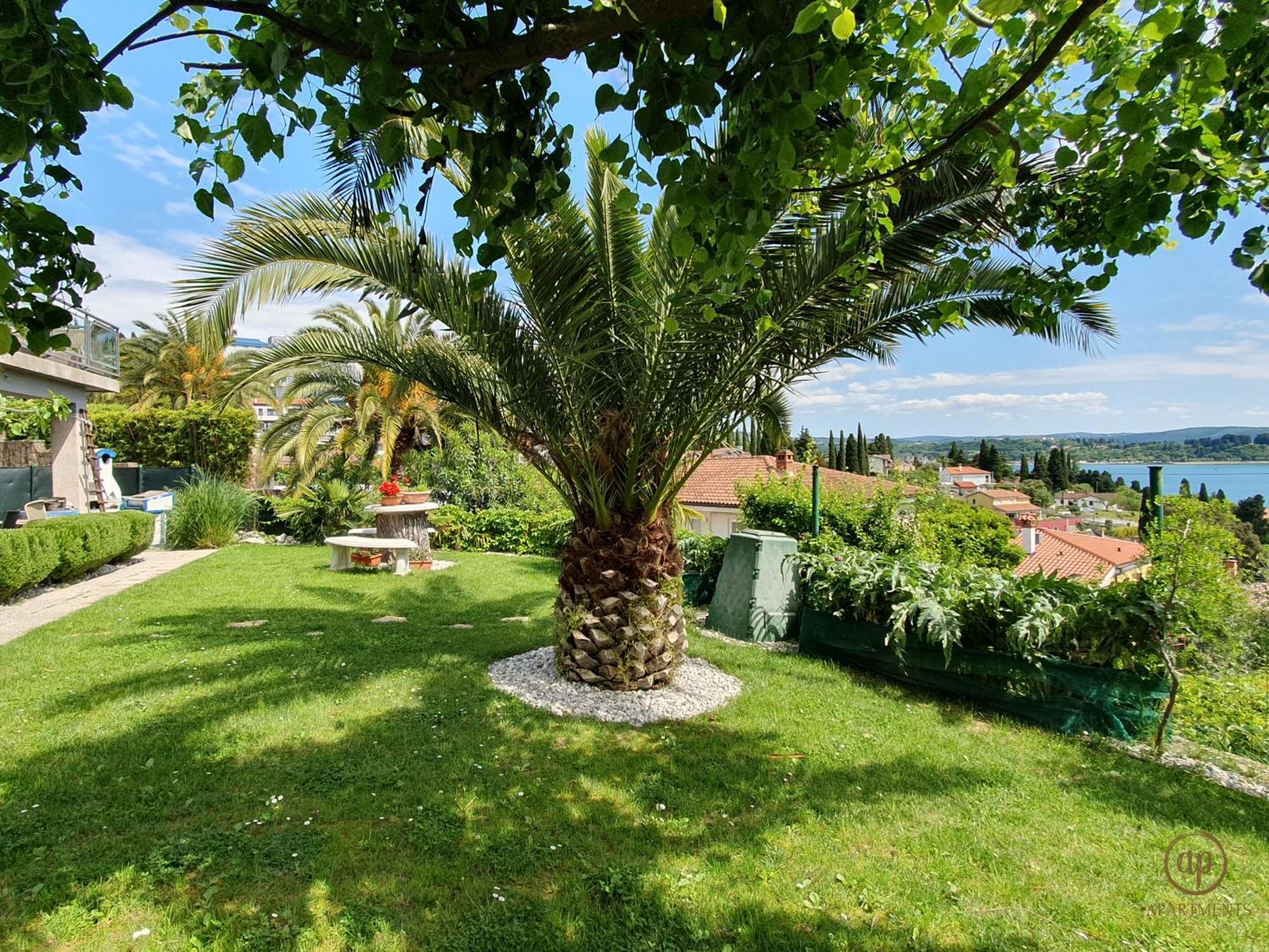 בפורטורוז Apartment With Seaview And Garden For 6 מראה חיצוני תמונה