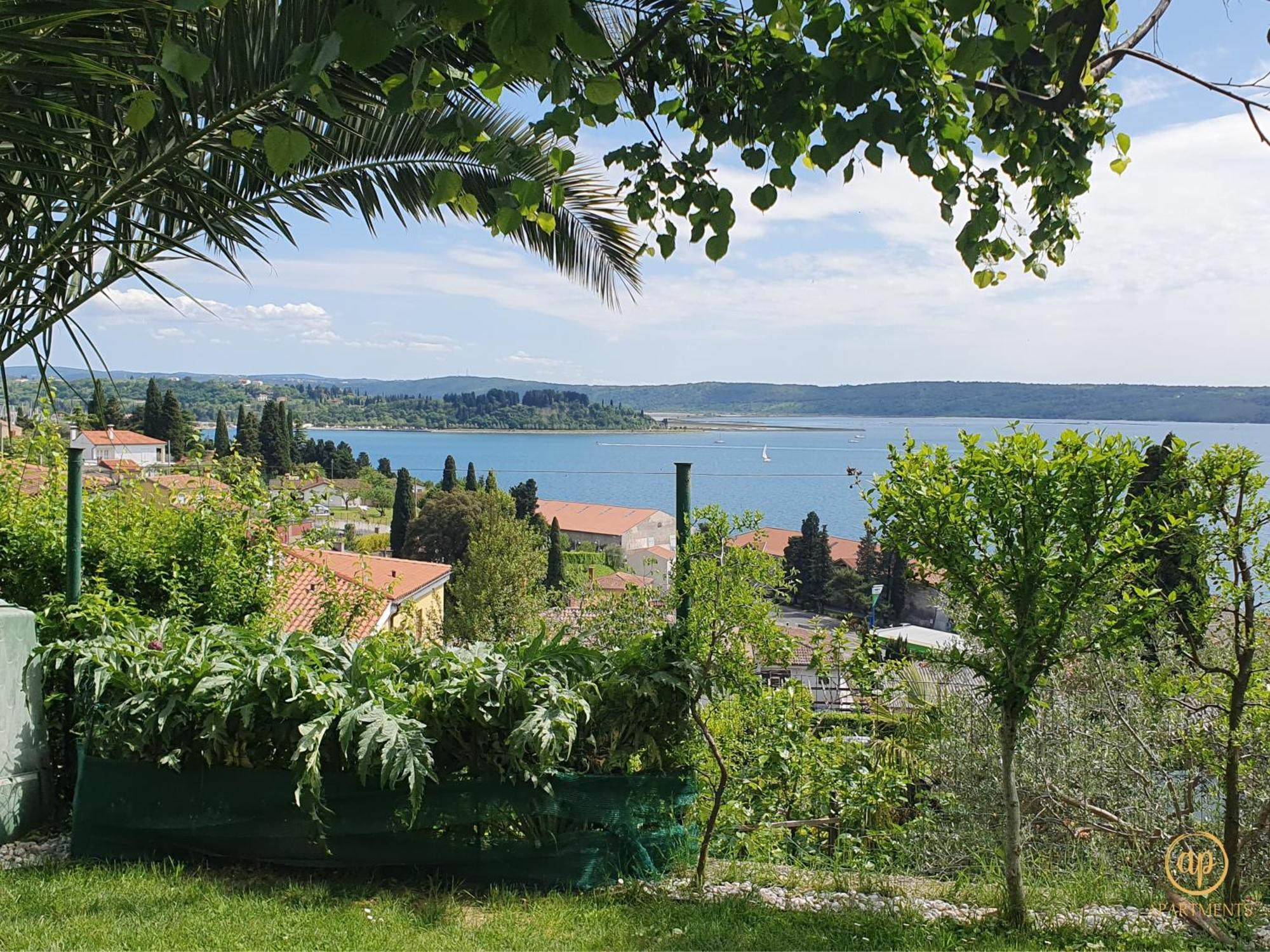 בפורטורוז Apartment With Seaview And Garden For 6 מראה חיצוני תמונה
